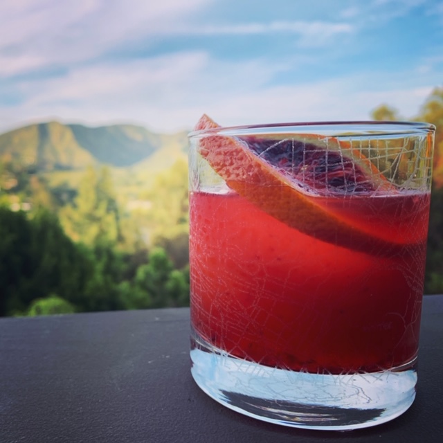 Blood Orange Negroni Cocktail